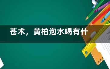 苍术，黄柏泡水喝有什么功效 黄来自柏苍术薄荷泡总水可以喝吗？长期喝会不会有什么副作用？